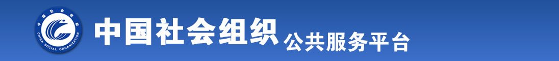 www.艹b全国社会组织信息查询